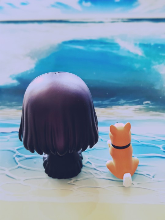 世界末日与柴犬同行