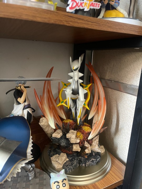 太大了没地方放了