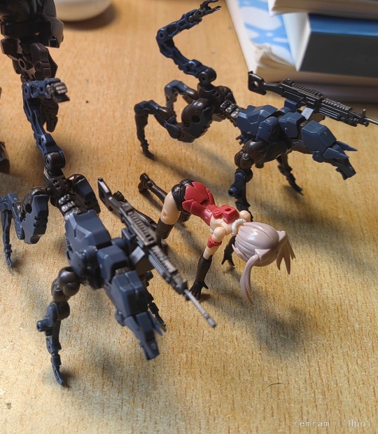 遛猫（娘）（不定期更新，喜欢的看官老爷们欢迎点赞评论收藏，这是我更新的最大动力，个人很想上一次热门，多谢多谢🤞🥰😄）