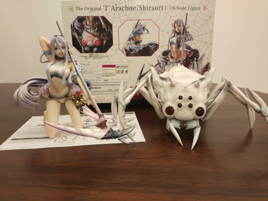 等了不知道多久的蜘蛛子终于到了