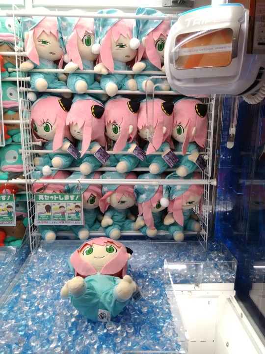 taito 间谍过家家 BIG毛绒玩偶 阿尼亚·福杰 睡衣款 门店展示转图