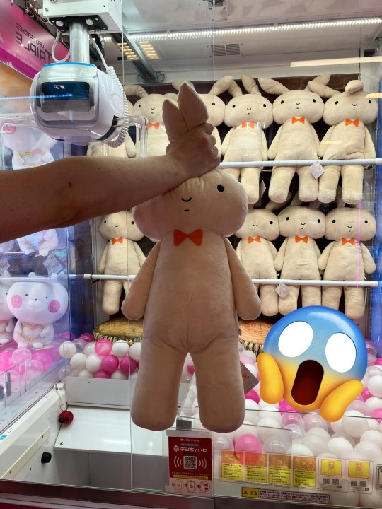 眼镜厂 蜡笔小新 妮妮的兔子玩偶  35cm毛绒玩偶门店展示转图