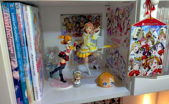 感觉比其他的大只耶