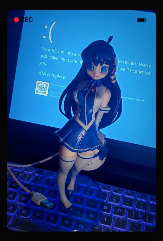 win10蓝屏的犯人找到了 : (