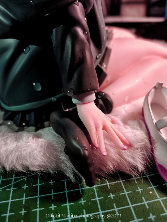 业余摄影  可供参考