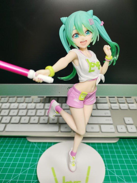 初音未来 现场应援