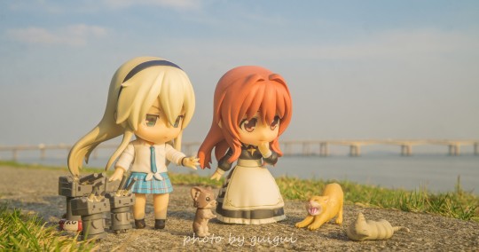 去海边散步吧～