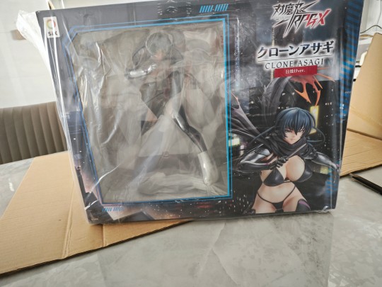 到货水，6子黑皮阿莎姬