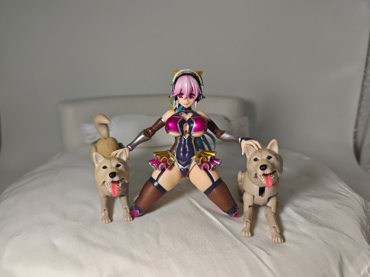 对魔忍索尼子与狗子们的互动