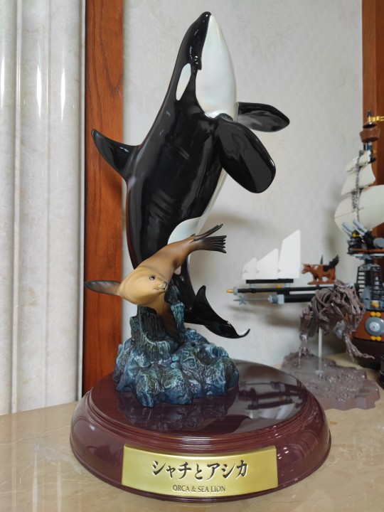 实物挺漂亮的🤤