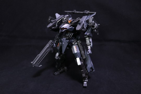 大火鸟 异鸟代码 金色乌鸦 重睛鸟