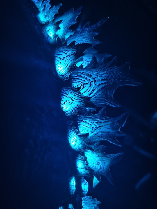 很好哥斯拉，爱来自帝王