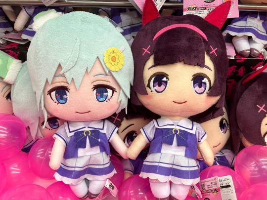 FURYU 赛马娘 巨大毛绒玩偶18 西野花&星云天空实拍返图搬运