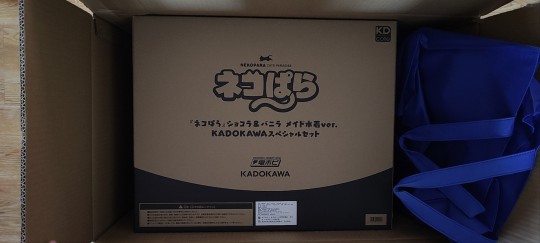 WF现场买的猫娘 -3008