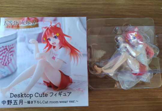 五等分的花嫁 中野五月 猫咪家居服 开箱