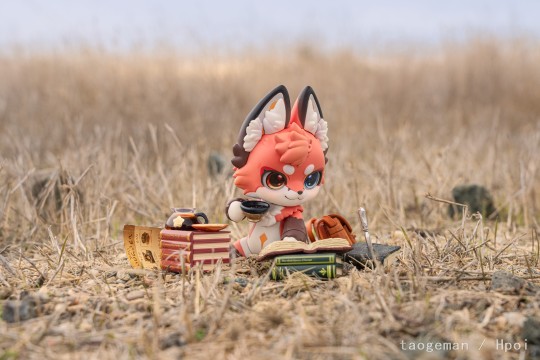 咖啡之秋，读书之秋