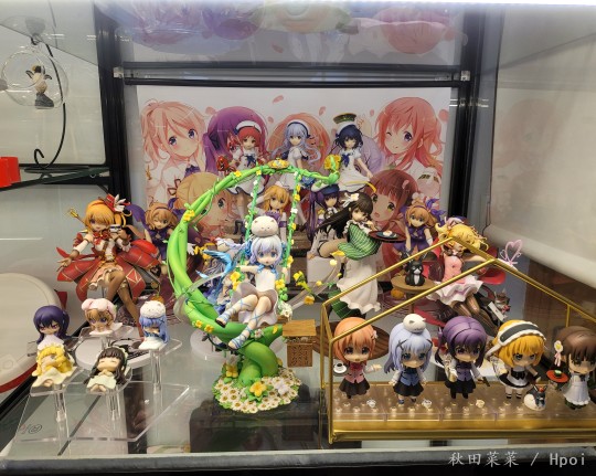 请问您今天要来点兔子吗？