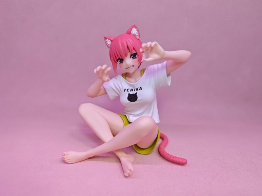 中野一花～猫咪居家服实拍