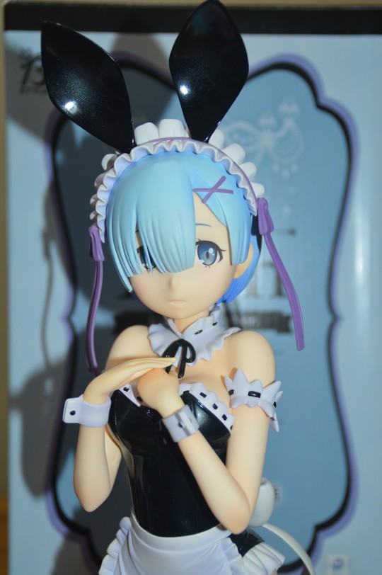 前段时间从一位纯爱好兄弟那打包买了好几只蕾姆