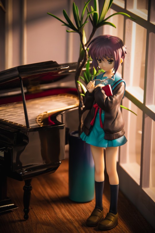 音乐教室的大萌神