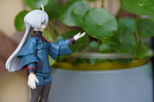 shf frs米奥莉奈对比＋外拍