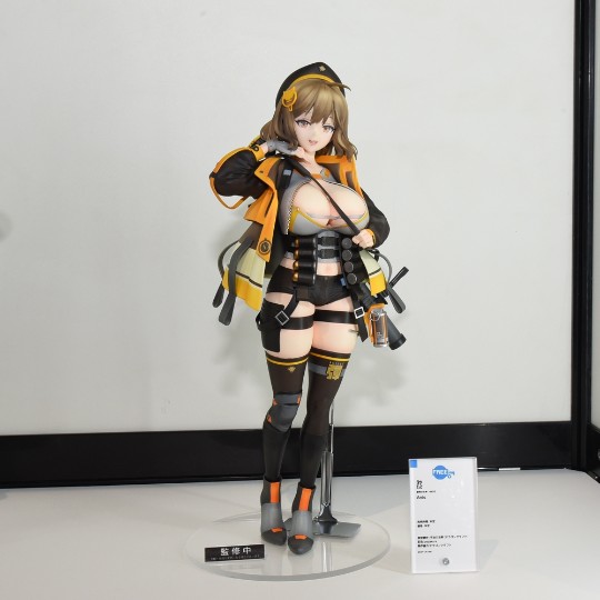 FREEing B-Style 胜利女神：妮姬 阿妮斯 展图搬运