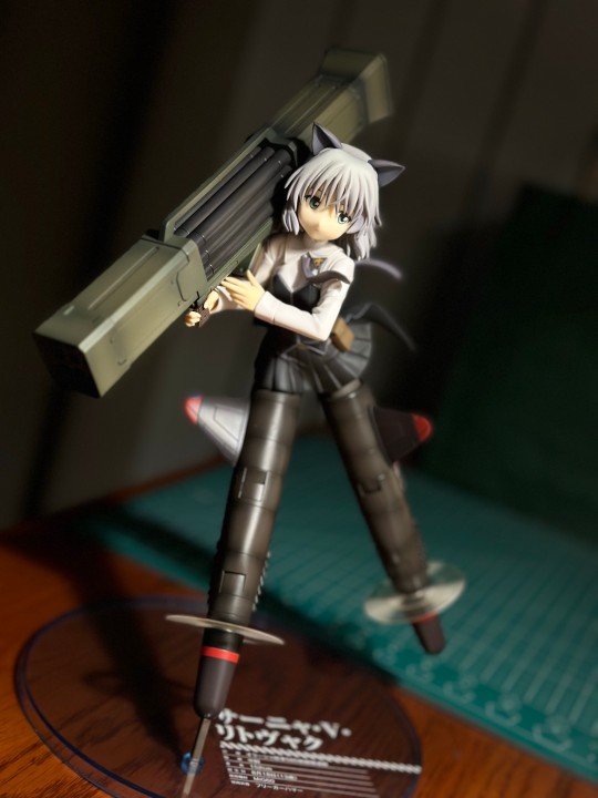 Alter 桑妮亚‧V‧利特维亚克 随拍