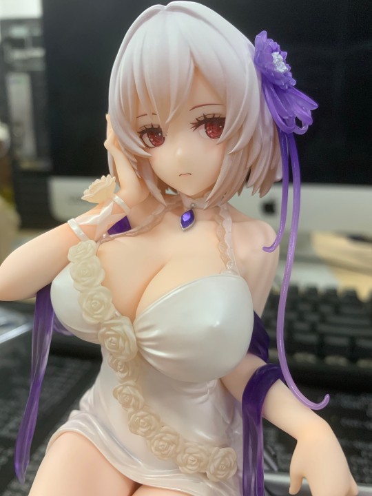 碧蓝航线 天狼星 纯白蔷薇