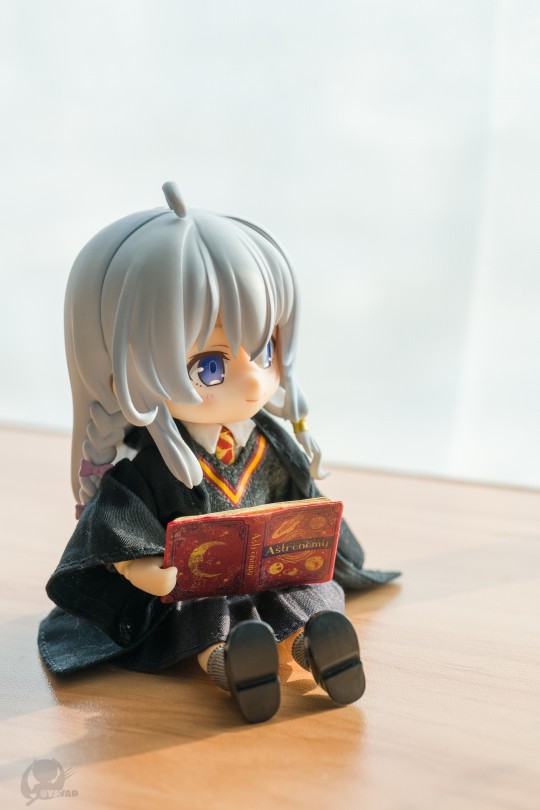 伊蕾娜的阅读时光