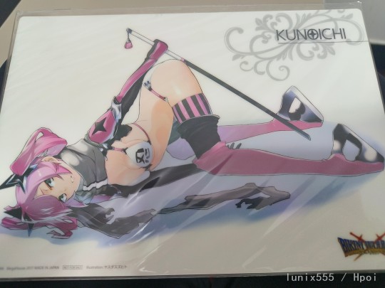 比基尼勇士 忍者