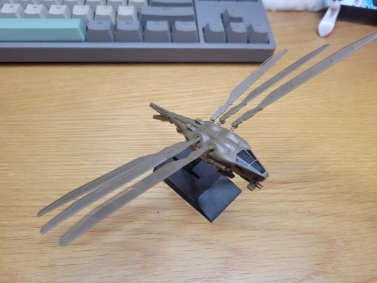 WF2023北京眼缘买的哈克南