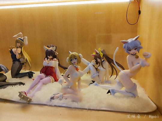 B-style IS〈无限斯特拉托斯〉柜子到家了