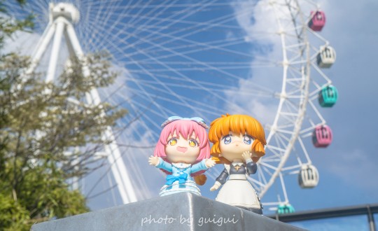 芽美和momo的小日常