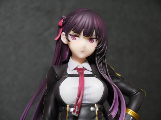 quesq wa2000 推返图