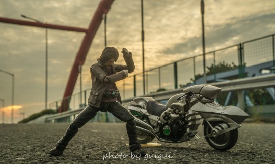 SHF 假面骑士黑日 秋月信彦