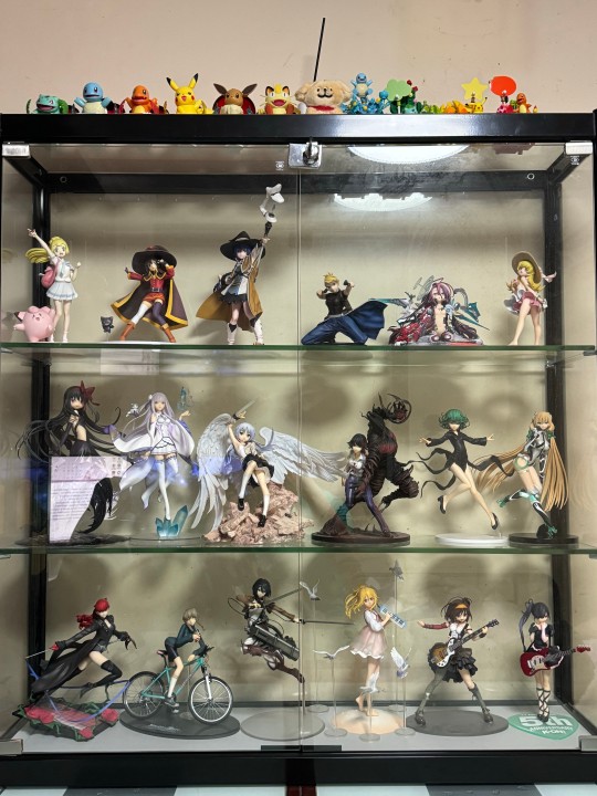 萌新的手办柜～