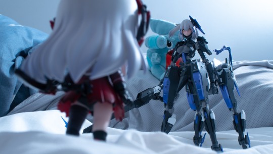 罗塞塔生日快乐！