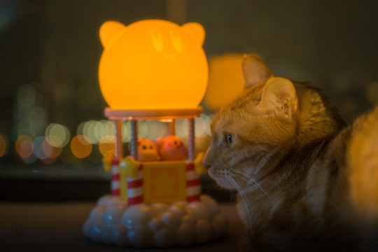 小夜灯，说晚安。