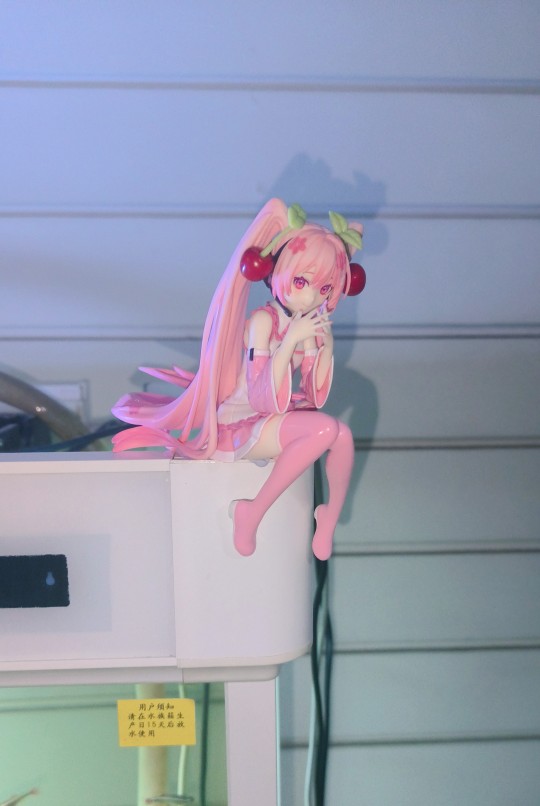 【2023年终总结】浅拍一下吧