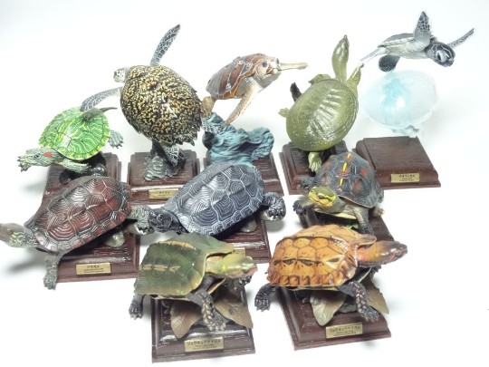 奇谭俱乐部 日本的龟2010.5发售