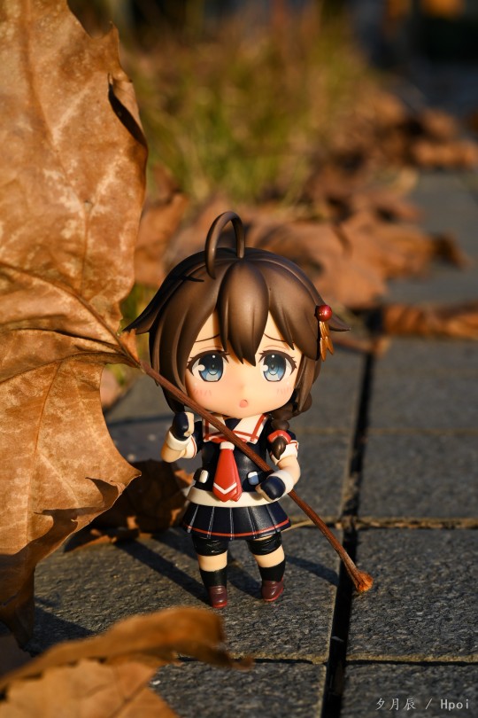 漫步枯叶路边～