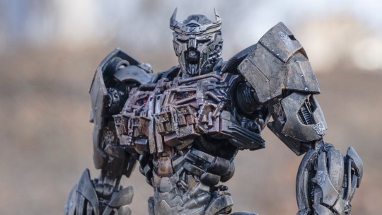 【外拍】丛林大战