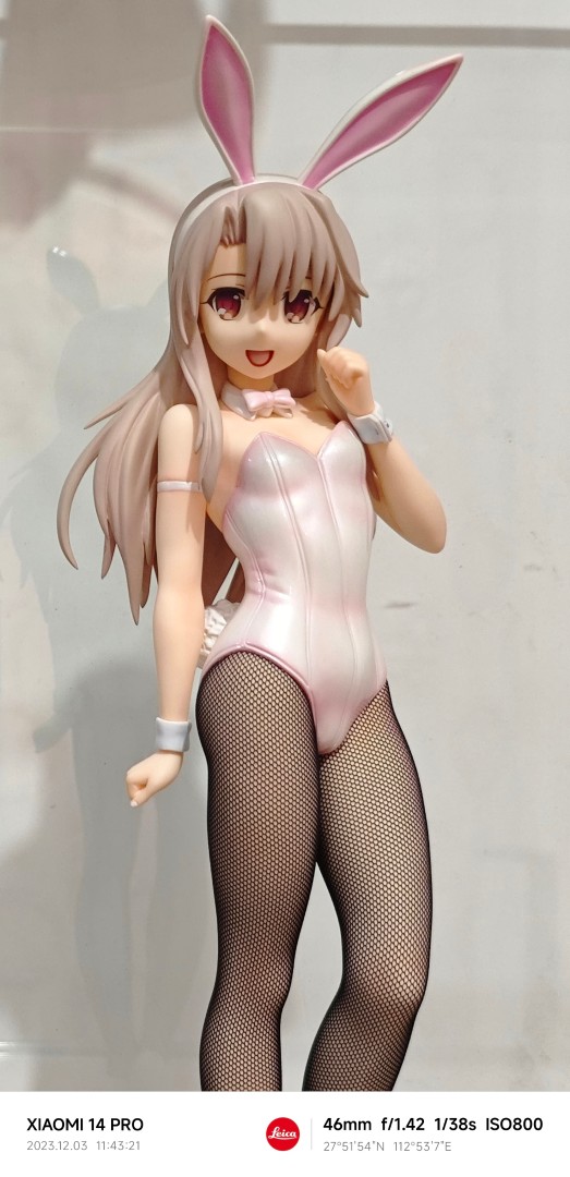 freeing伊莉雅兔女郎