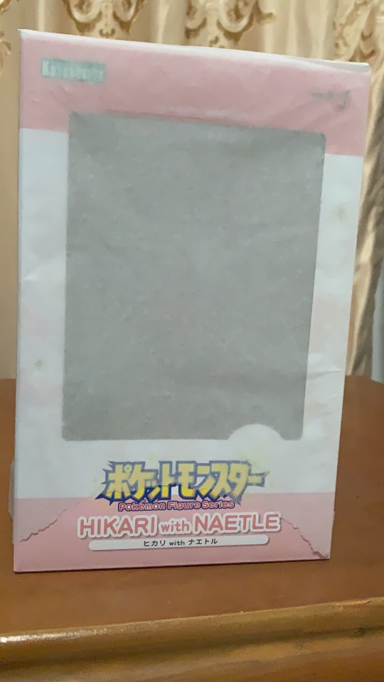 寿屋宝可梦白金冬装小光+草苗龟