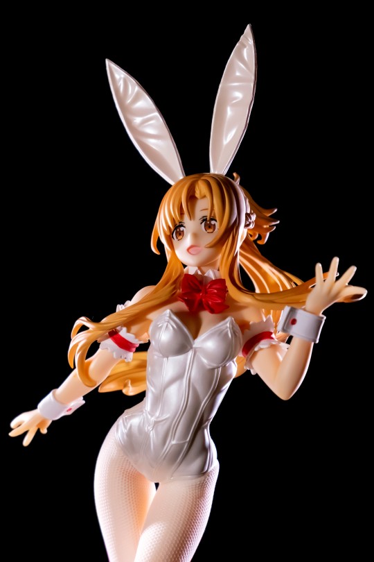 兔兔兔兔兔女郎亚丝娜