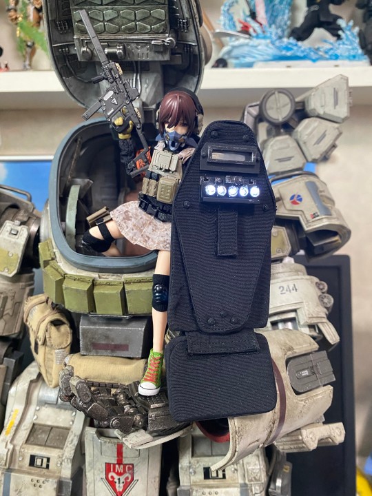 神猫跳动大盾妹