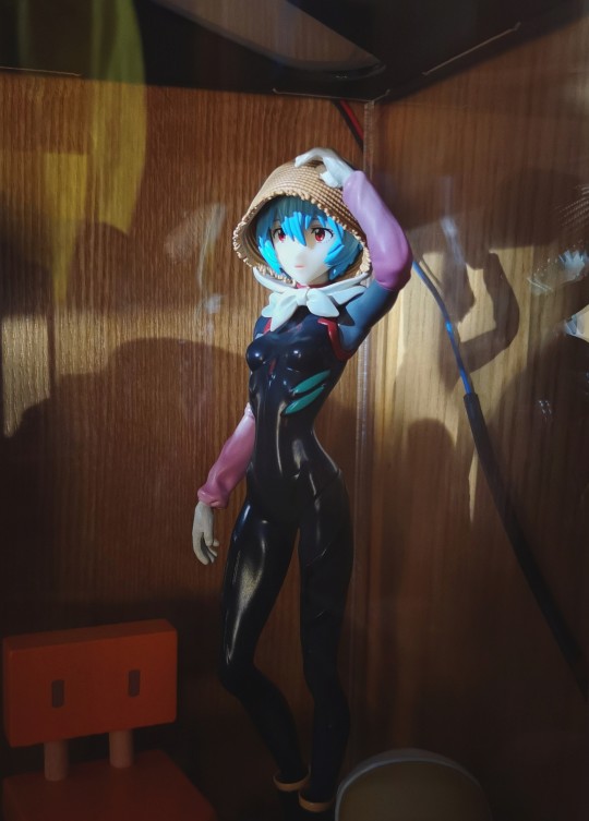 自然光照的种田丽