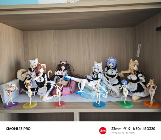 猫娘！猫娘！猫娘！