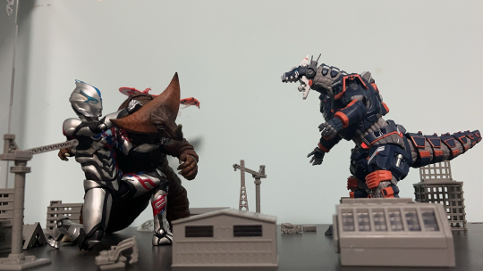 新年第一只到手的shf