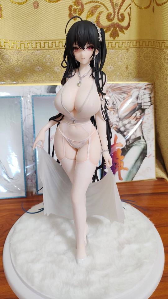 anigame 大凤 潮风的吸引 替换身版